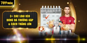 Blog cá cược - 789WIN - SLOT492