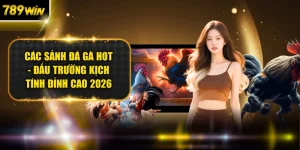 Blog cá cược - 789WIN - SLOT492