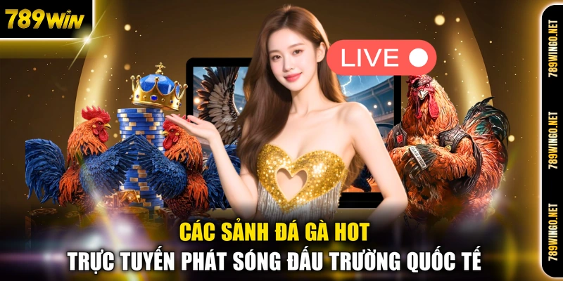 Các Sảnh Đá Gà Hot - Đấu Trường Kịch Tính Đỉnh Cao 2026 - SLOT492