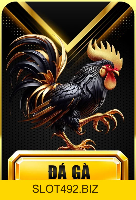 789WIN – Trang Chủ 789WIN.COM - Link Vào Uy Tín +99K Đăng Ký - SLOT492