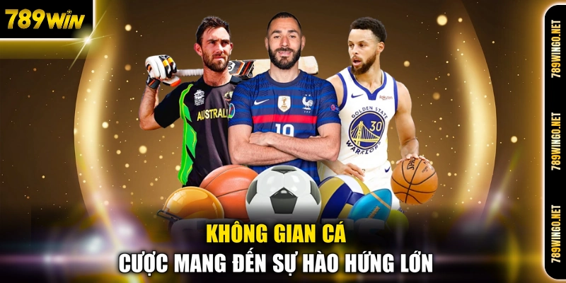 Thể Thao 789WIN - Sân Chơi Cá Cược Sôi Động Đẳng Cấp - SLOT492