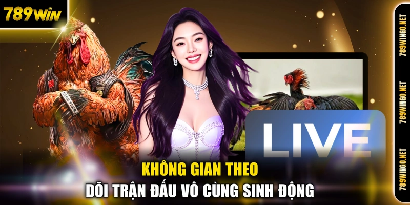Đá Gà 789WIN - Sân Chơi Đấu Kê Chiến Trực Tuyến Gay Cấn - SLOT492