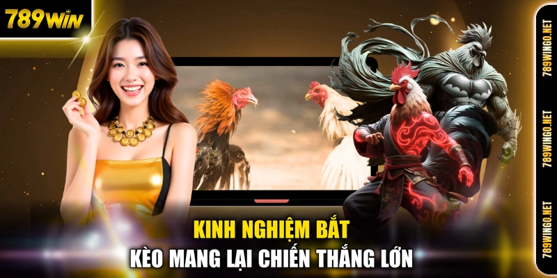 Đá Gà 789WIN - Sân Chơi Đấu Kê Chiến Trực Tuyến Gay Cấn - SLOT492
