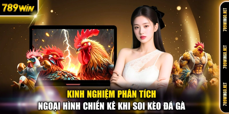 Các Sảnh Đá Gà Hot - Đấu Trường Kịch Tính Đỉnh Cao 2026 - SLOT492